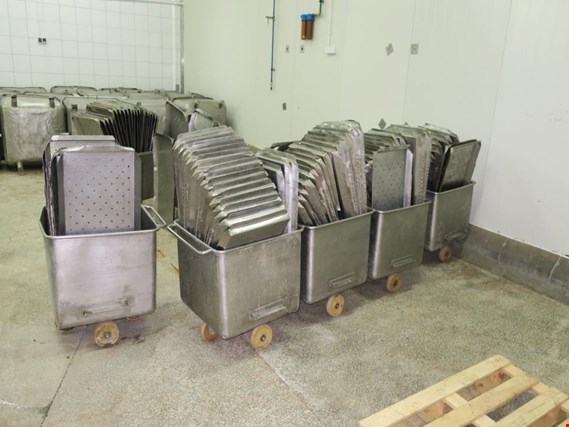 Used Trays, 60 pcs for Sale (Auction Premium) | NetBid Industrial Auctions